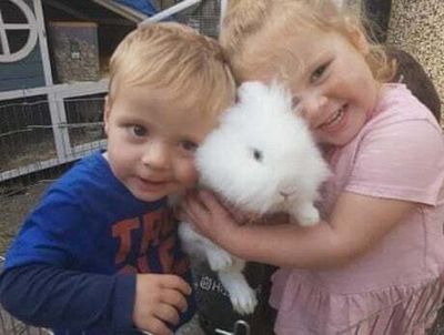 Van driver admits killing young siblings in horror M4 crash as they returned from birthday party