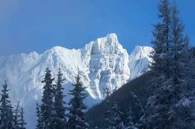 Why doctors are prescribing 2 hours outside per week to boost brain and heart health