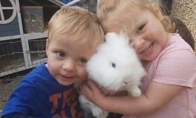 Driver admits killing two children in south Wales motorway crash