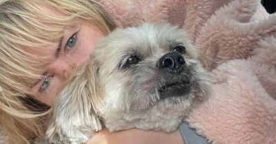 Woman reunited with missing dog who ran onto train tracks after escaping groomer