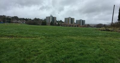 A new housing estate could take shape on Swansea school playing fields