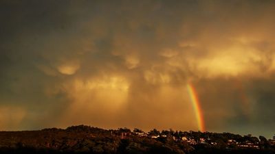 BOM forecasts week of extreme weather, with storms in the east and heatwaves in the west