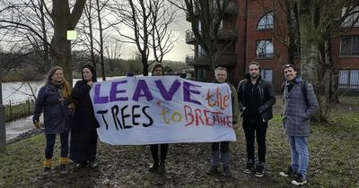 Residents 'will work in shifts' as they protest against tree removal in South Belfast