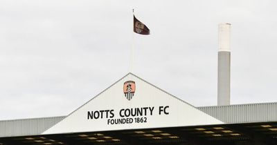 Notts County's mushy peas go viral as fans from England and America disagree on football food