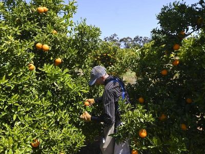Deputy PM calls for more bush migration