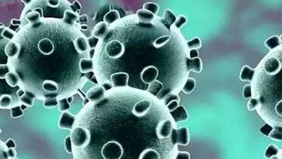 Gurugram: Covid delays other treatments, ailments worsen