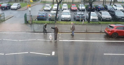 'The swan whisperer' Three men try to lure swan off Glasgow road in hilarious video