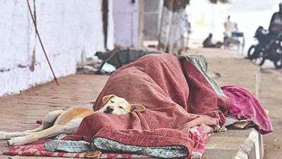 Madhya Pradesh: Night temperature drops by 6 in 48 hours