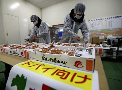 Fukushima dried persimmons to be exported to Dubai
