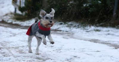 Met Eireann Ireland weather forecast dramatic temperature swing with hail, sleet, and snow