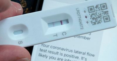 No lateral flow Covid tests available on government's website as Boris Johnson announces end to testing