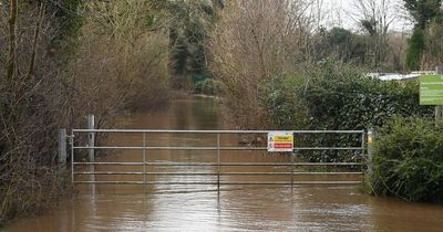 Met Office weather forecast as Storm Gladys could hit UK this week