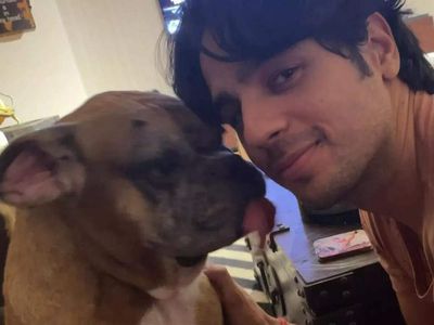 Sidharth Malhotra pens a heartbreaking note as he mourns the death of his pet dog Oscar, celebs extend condolences