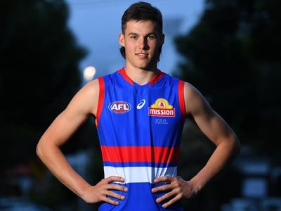 Dogs take long-term approach with Darcy