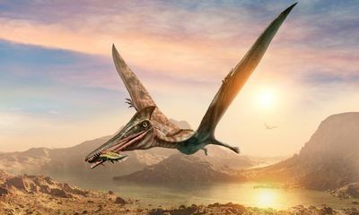 Remains of ‘world’s largest Jurassic pterosaur’ recovered in Scotland