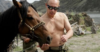 Putin's popularity: Ex-spy's 'most handsome man' campaign to mocked horse-riding pics
