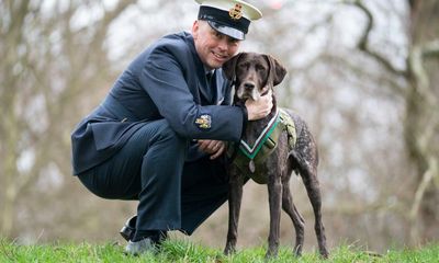 Dog awarded animals’ Victoria Cross for RAF service in Afghanistan