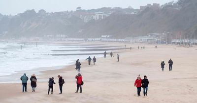 Deadly jellyfish washed ashore during recent killer storms, warn scientists