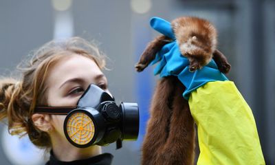 Cabinet row as plan to ban fur and foie gras trade scrapped by PM