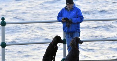 Coronavirus infection rates, cases and deaths for all parts of Wales on Tuesday, February 22