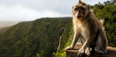 The macaque monkeys of Mauritius: an invasive alien species, and a major export for research