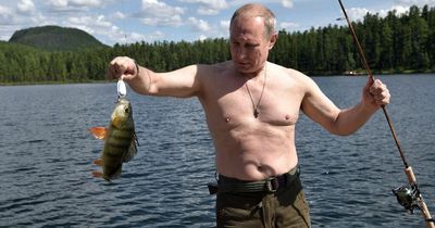 Vladimir Putin's fortune and wild life - tigers, mysterious palace and £47,000 toilet