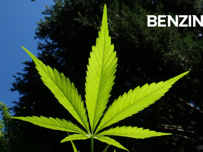 Cannabis Extraction Co. Ayurcann Shares Slightly Up On Record Sales, 106% YoY Revenue Growth