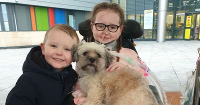 Scots schoolgirl 'paralysed' by spinal condition reunited with dog by hospital staff