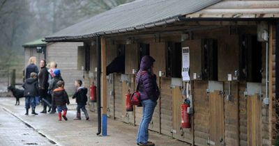 All the fees that are rising as Cardiff council reveals budget plans