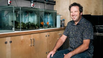 Marine scientists keep their ears to the ocean