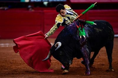 Mexico City, bastion of bullfighting, considers ban