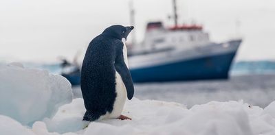 Each Antarctic tourist effectively melts 83 tonnes of snow – new research