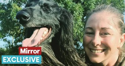 'My dog saved my life when my partner died - I wouldn't be here today without her'