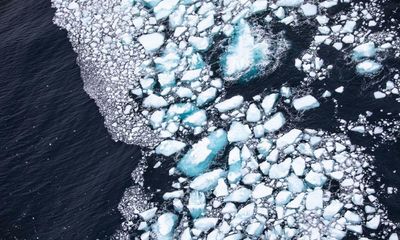 Antarctic sea ice falls to lowest level since measurements began in 1979