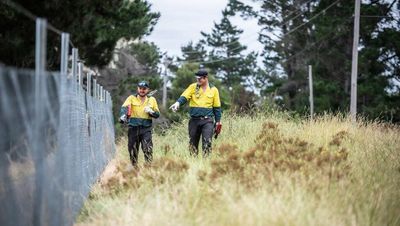 Rapid response team to fight invasive species in ACT