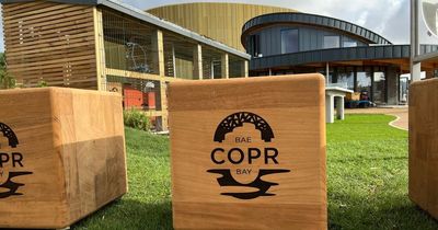 New pictures reveal the look of Swansea’s brand new coastal park and inside its cafe restaurant