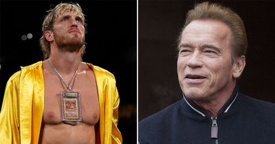 Logan Paul and Arnold Schwarzenegger launch Slap Fighting Championship