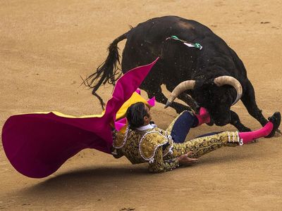 Mexico City considering bullfighting ban