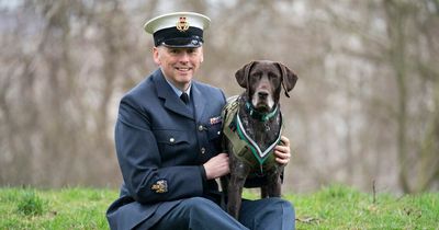 Hero RAF dog awarded top honour for protecting troops from terror attacks