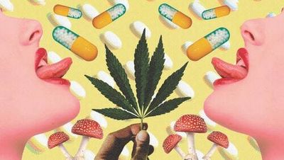 Is your “drug friend” a real friend?