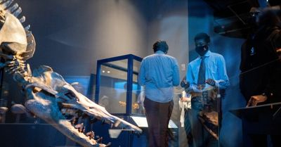 New Field Museum exhibit brings to life Jurassic oceans