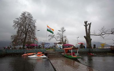 Chinars return to iconic 'Char Chinari' island on Srinagar's Dal lake