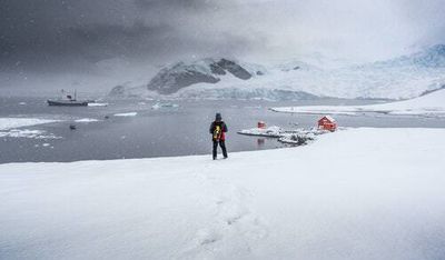 The dangerous way tourism is polluting Antarctica and accelerating melting