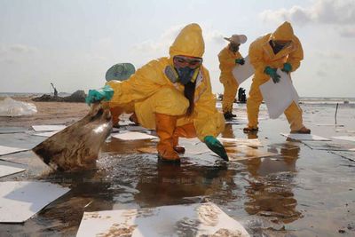 Rayong beach 'still unsafe' after oil spill