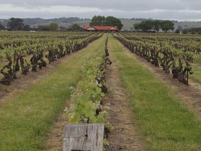 SA Libs pledge $25m for regional tourism