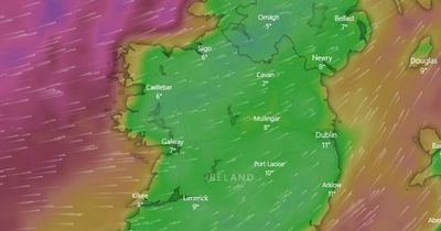 Met Eireann Ireland weather forecast predicts big temperature change with rare 'thundersnow' on the cards