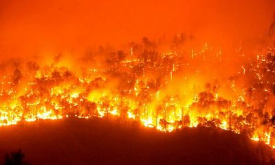 Wildfires likely to increase by a third by 2050, warns UN