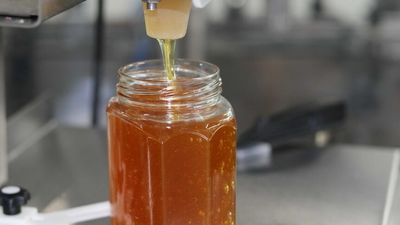 What makes Australian honey special? To work that out these researchers need samples