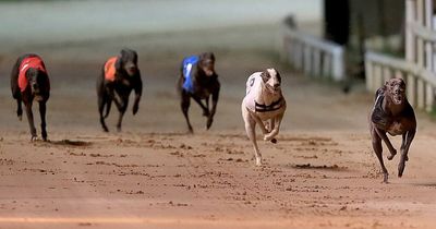 Greyhound racing in Dublin may be no more as Shelbourne Park owners seek to rezone stadium for housing