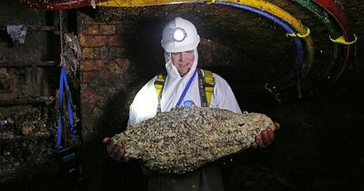 Scottish Water in urgent warning to stop flushing wet wipes after 'fatberg' blockages